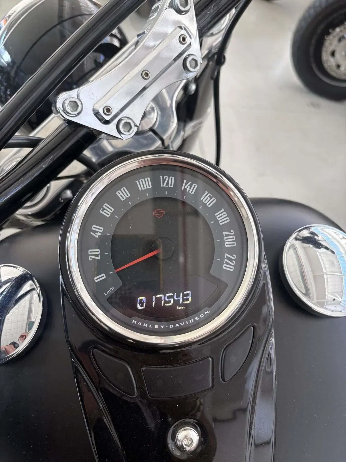 Harley-Davidson 107 Slim (2018 - 20) - FLSL (3)