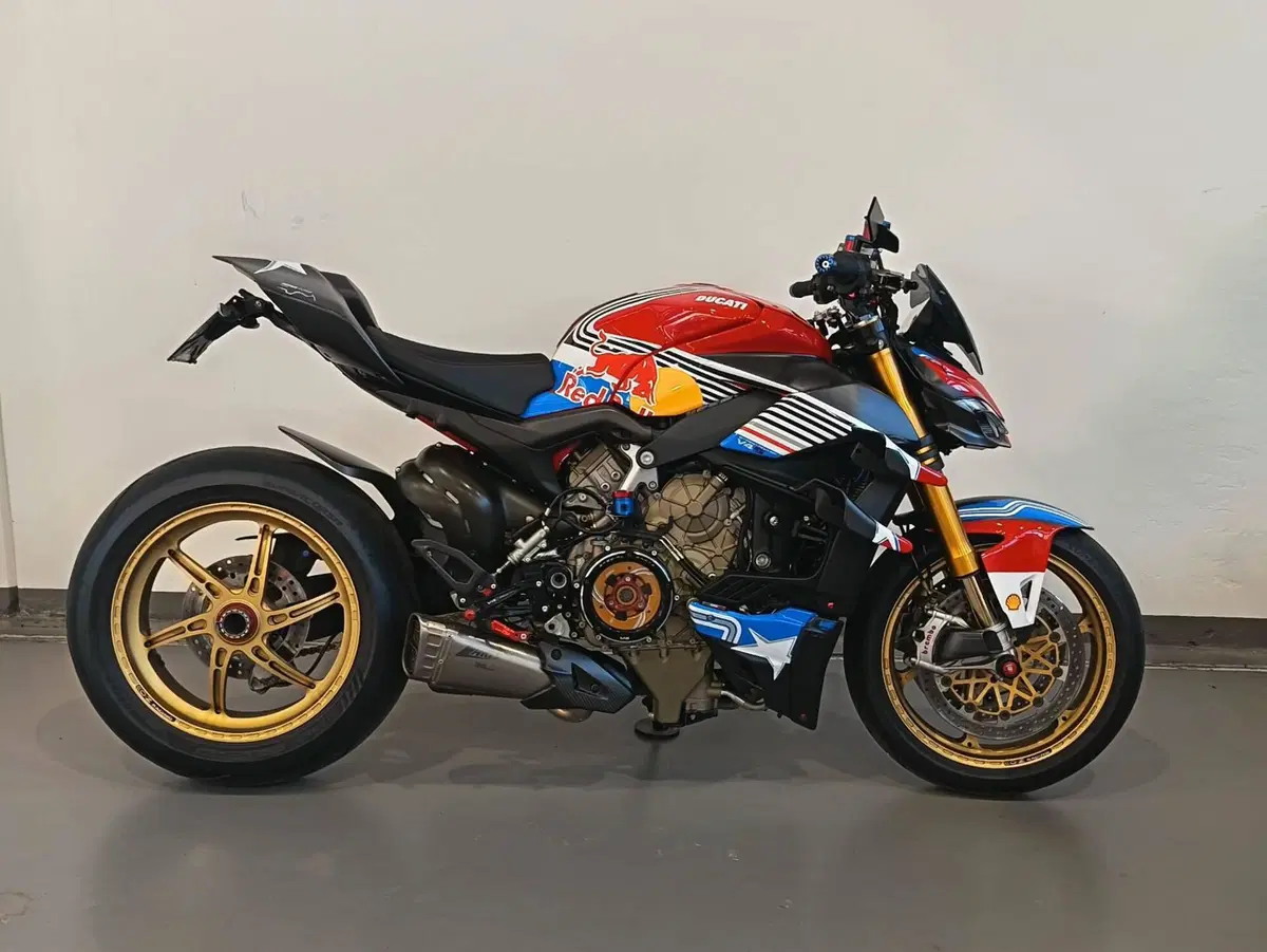 Ducati Streetfighter V4 1100 S (2020) (4)