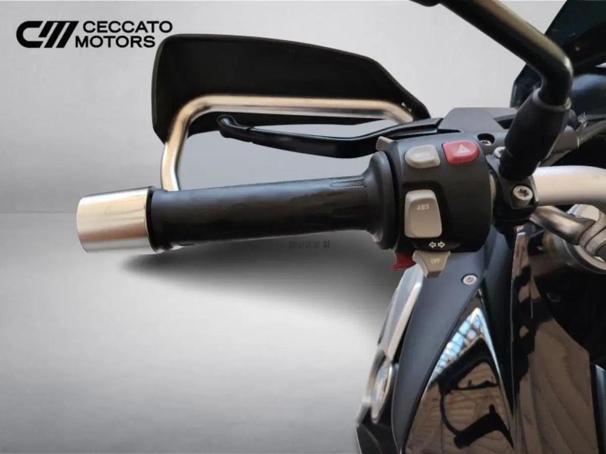 Bmw F 800 GS (2008 - 15) (12)