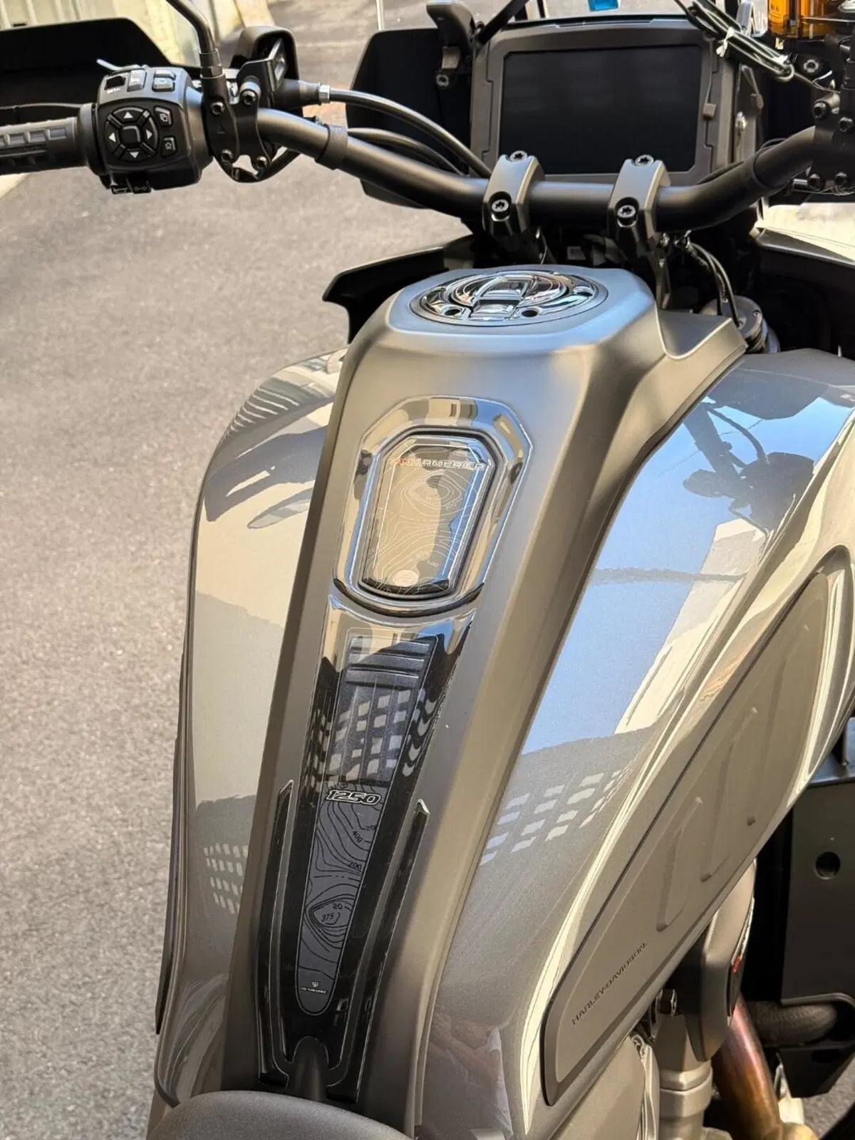 Harley-Davidson Pan America 1250 Special (2020 - 25) (6)