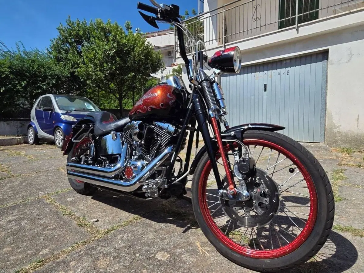 Harley-Davidson 1450 Springer (2002 - 04) - FXSTSI (6)