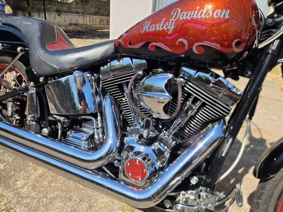 Harley-Davidson 1450 Springer (2002 - 04) - FXSTSI (7)