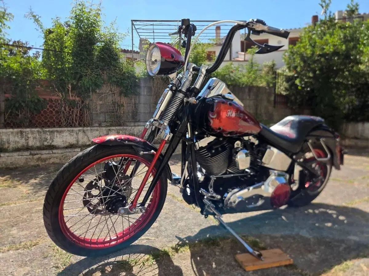 Harley-Davidson 1450 Springer (2002 - 04) - FXSTSI (8)