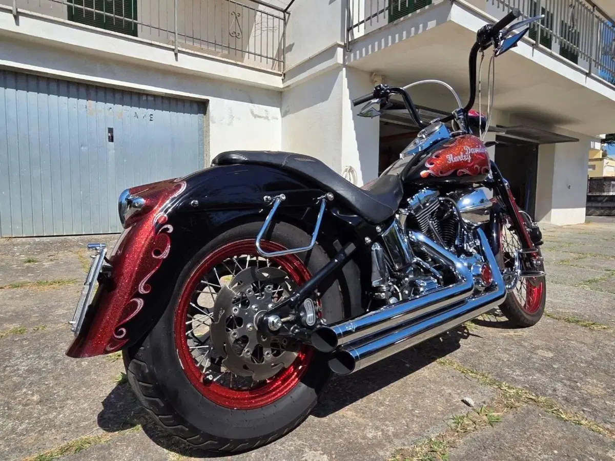 Harley-Davidson 1450 Springer (2002 - 04) - FXSTSI (14)