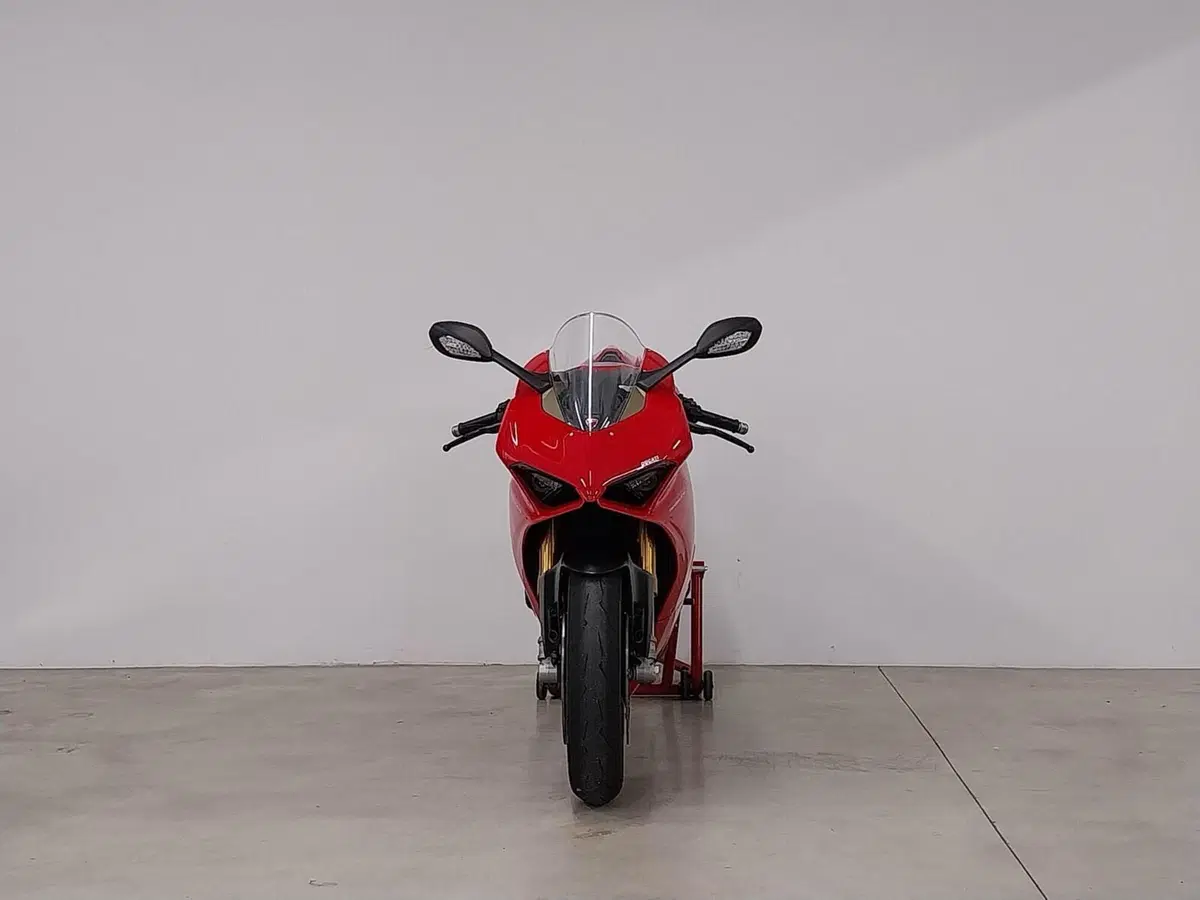 Ducati Panigale V4 S 1100 (2018 - 19) (4)