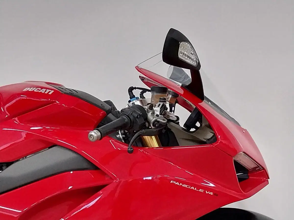 Ducati Panigale V4 S 1100 (2018 - 19) (7)