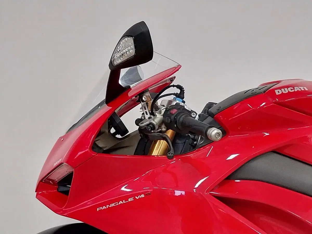 Ducati Panigale V4 S 1100 (2018 - 19) (8)