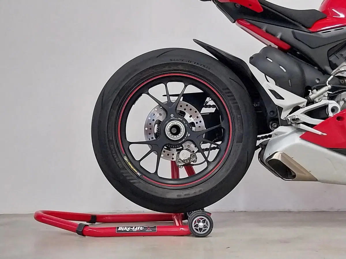 Ducati Panigale V4 S 1100 (2018 - 19) (10)