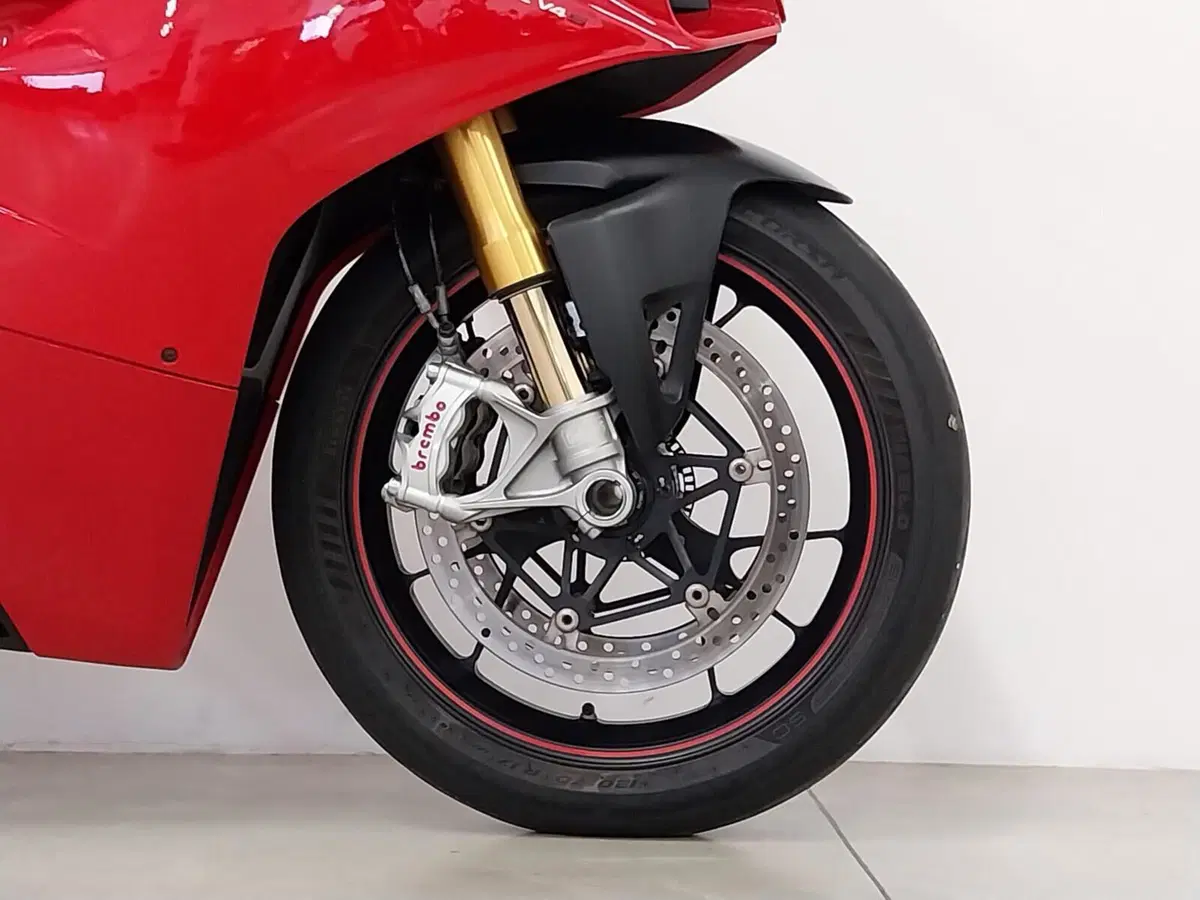 Ducati Panigale V4 S 1100 (2018 - 19) (12)