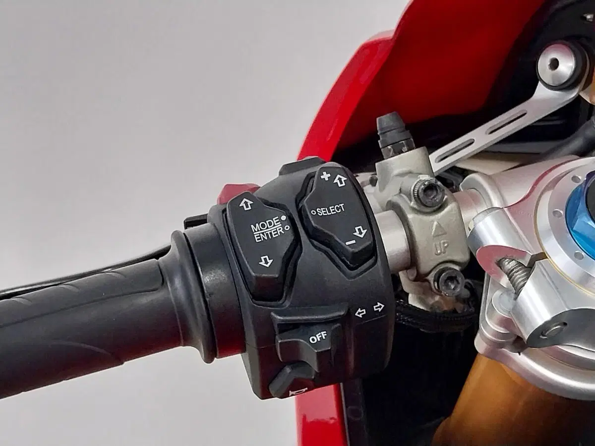 Ducati Panigale V4 S 1100 (2018 - 19) (18)