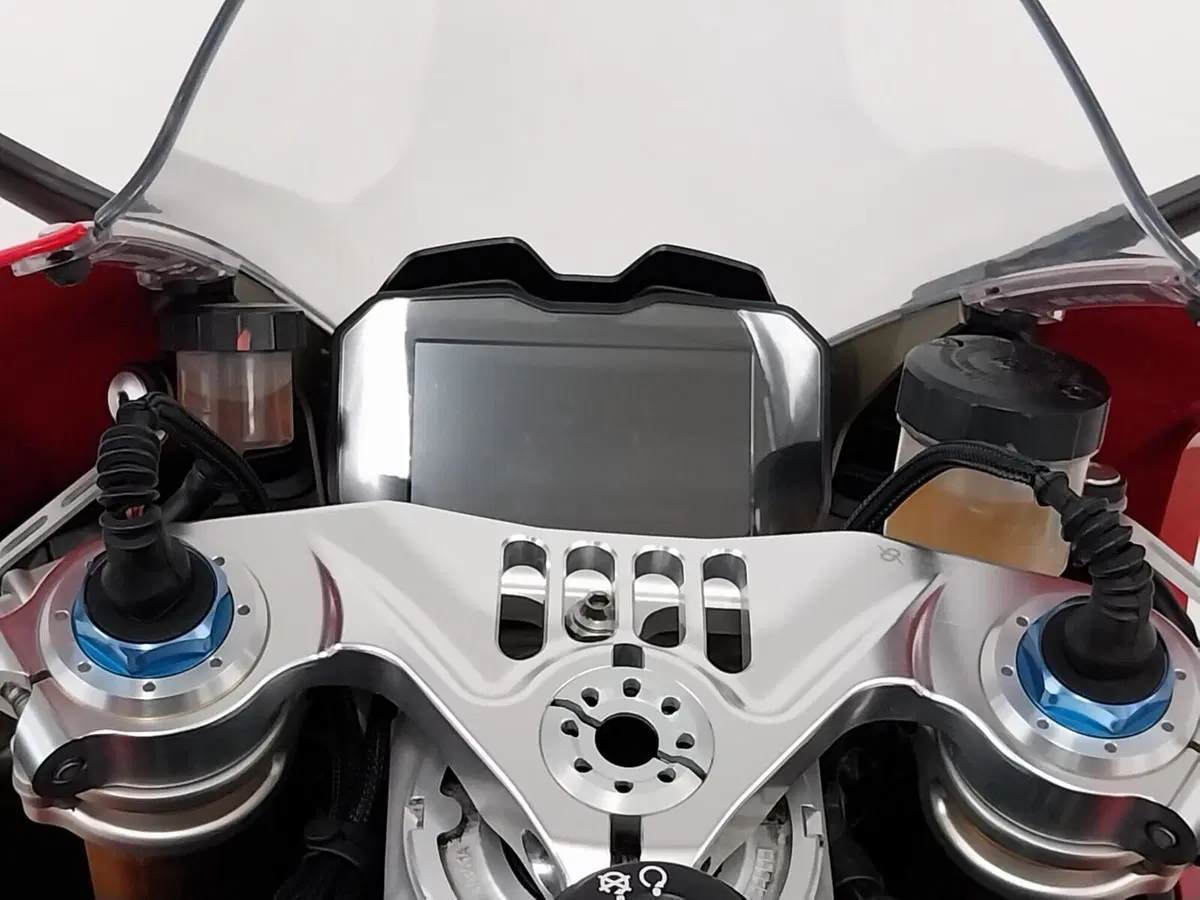 Ducati Panigale V4 S 1100 (2018 - 19) (19)