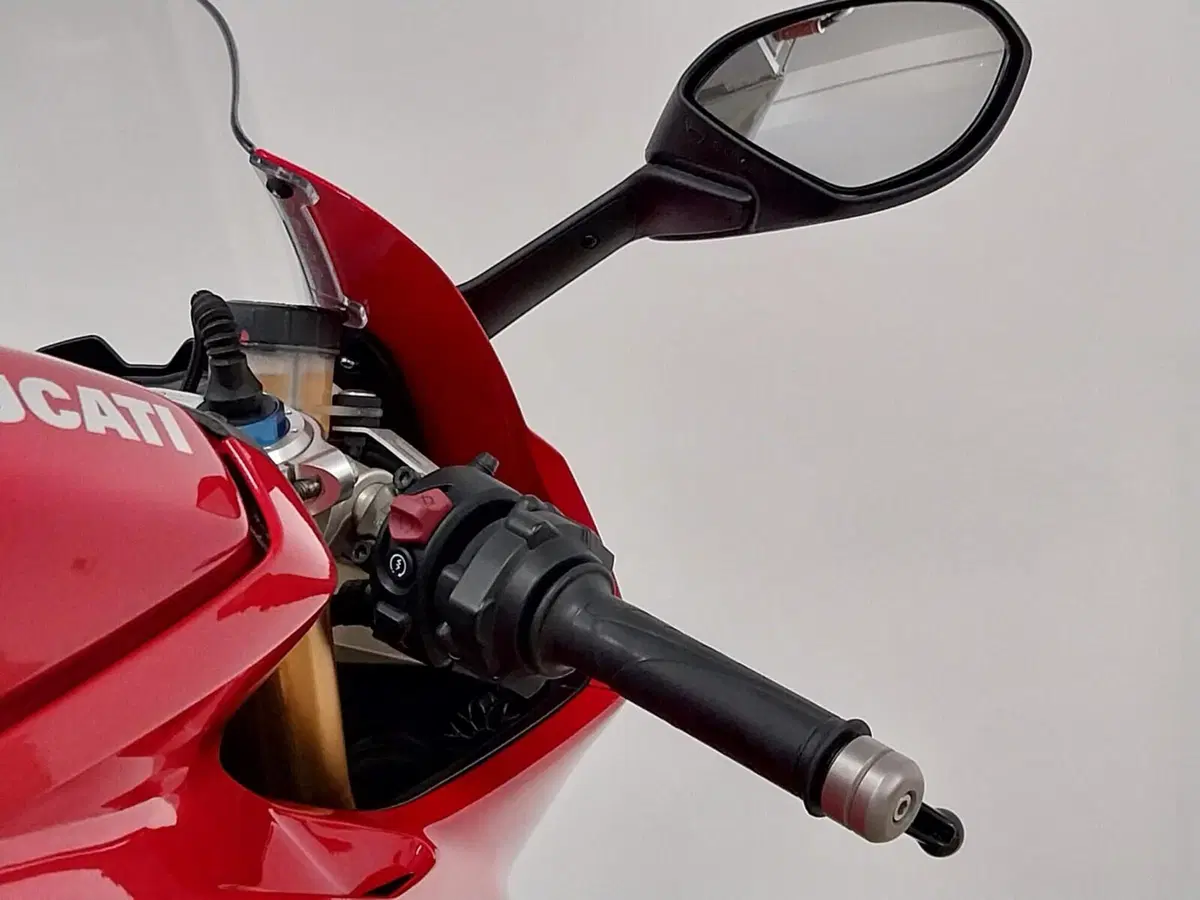 Ducati Panigale V4 S 1100 (2018 - 19) (20)