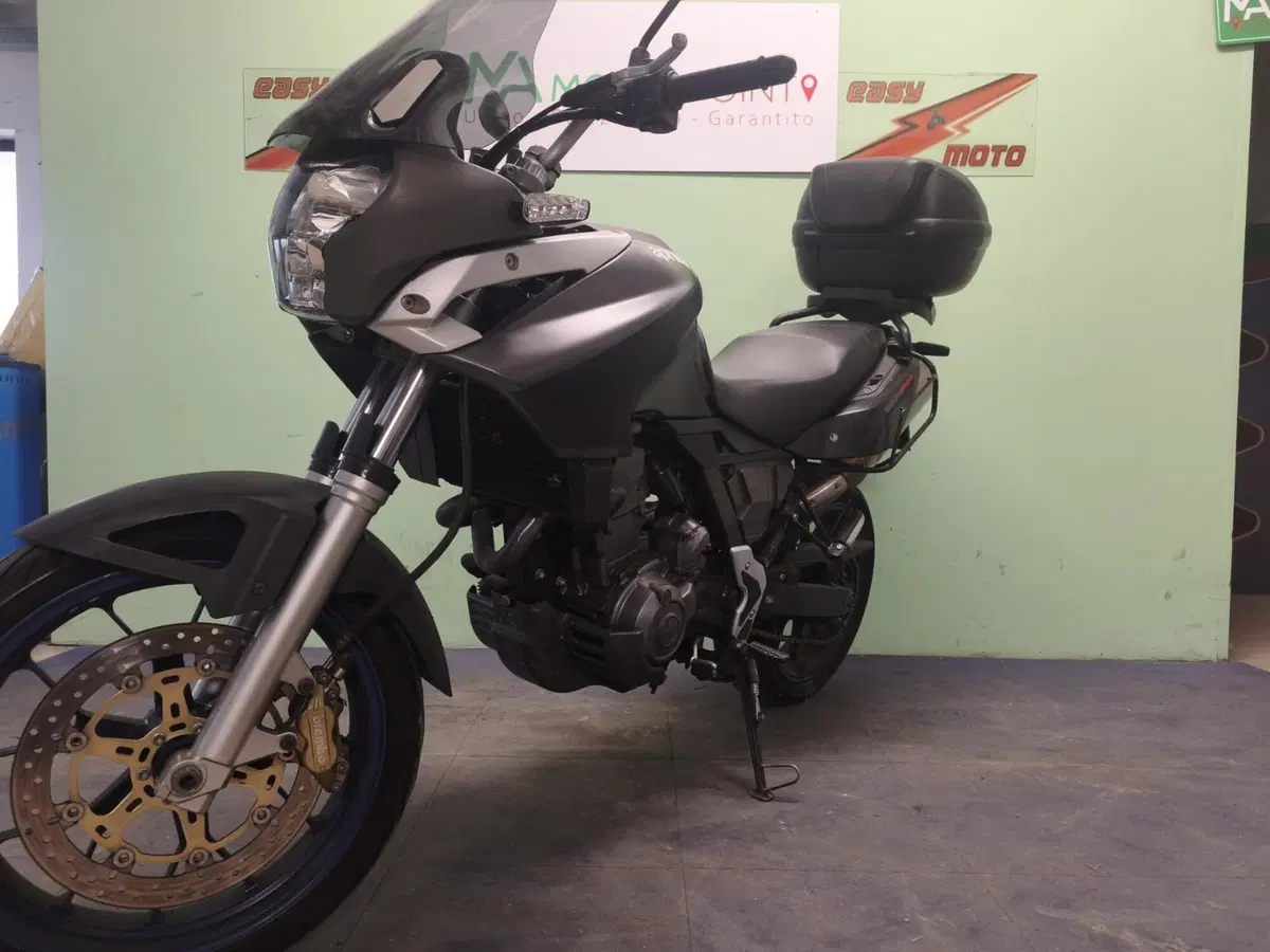 Aprilia Pegaso 650 Strada (2005 - 11) (2)