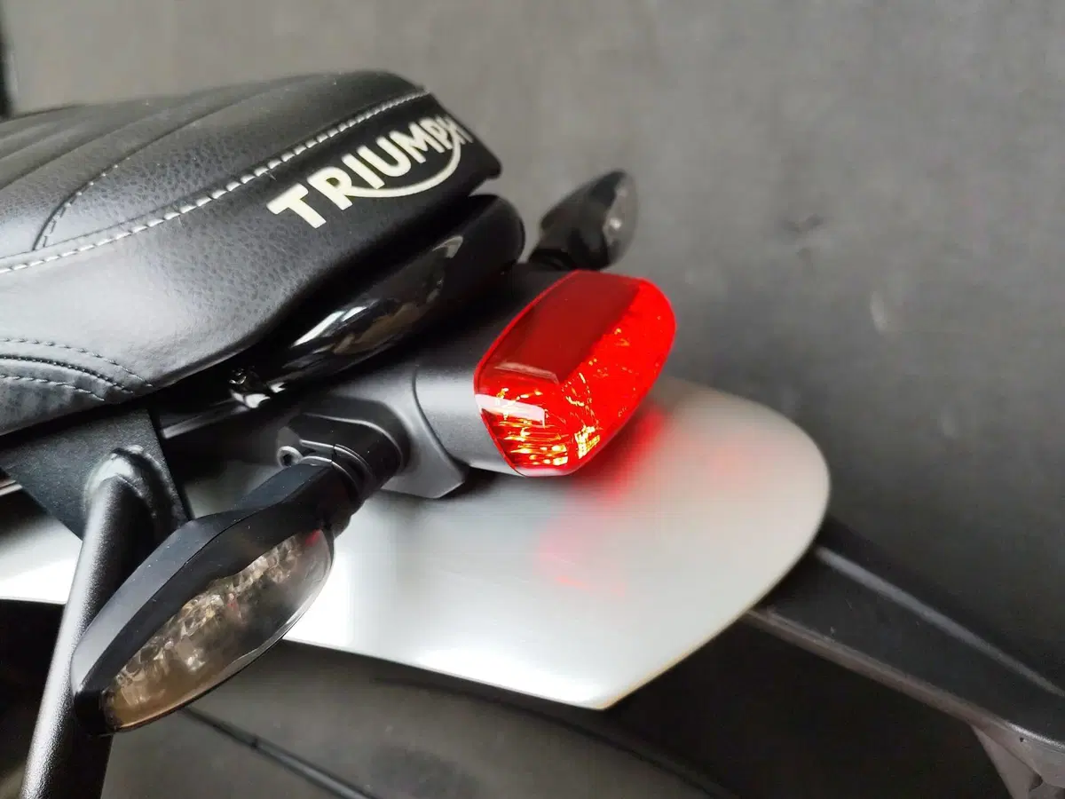 Triumph Speed Twin 1200 (2021 - 24) (12)