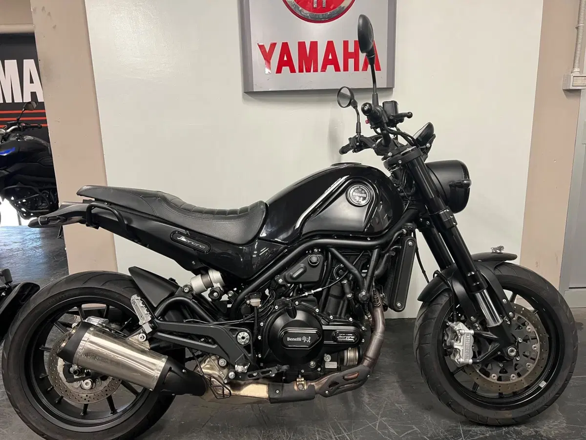 Benelli Leoncino 500 (2021 - 25)