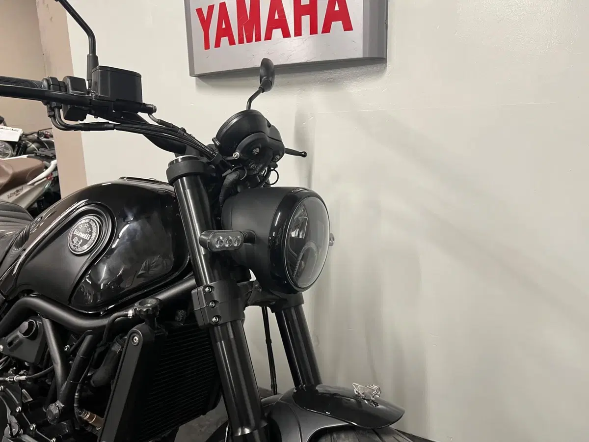 Benelli Leoncino 500 (2021 - 25) (2)