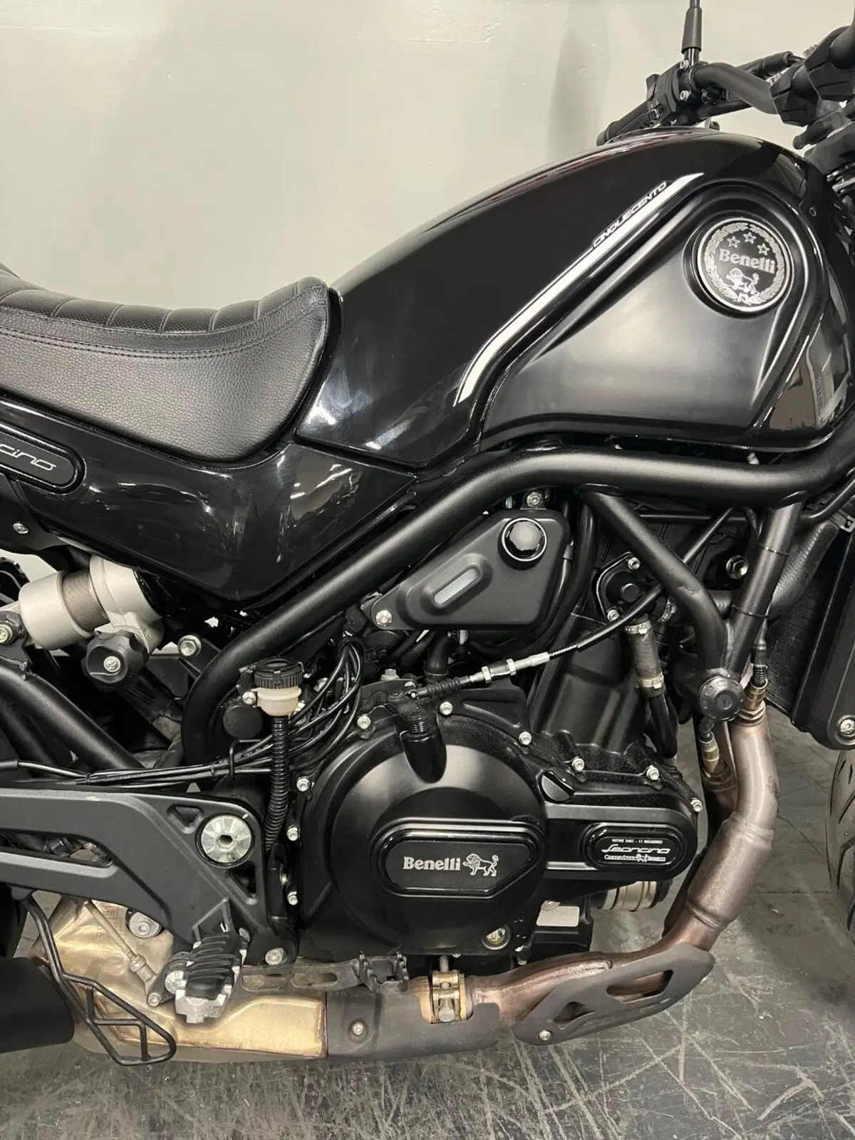 Benelli Leoncino 500 (2021 - 25) (6)