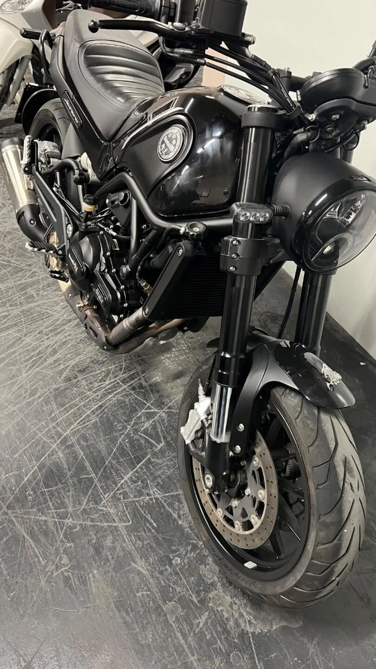 Benelli Leoncino 500 (2021 - 25) (10)