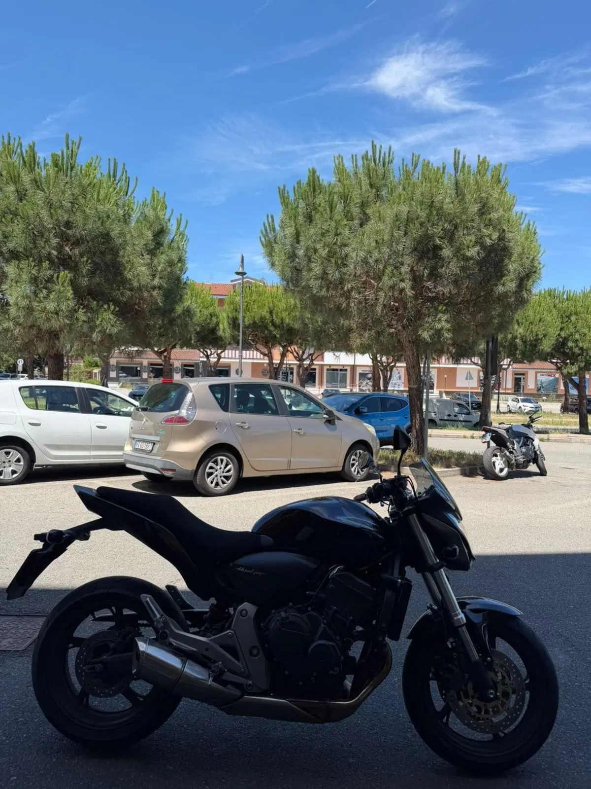 Honda Hornet 600 ABS (2011 - 13) (2)