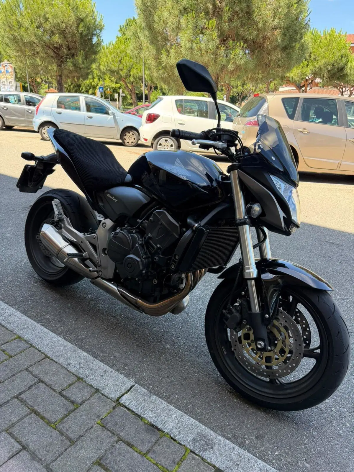Honda Hornet 600 ABS (2011 - 13) (8)