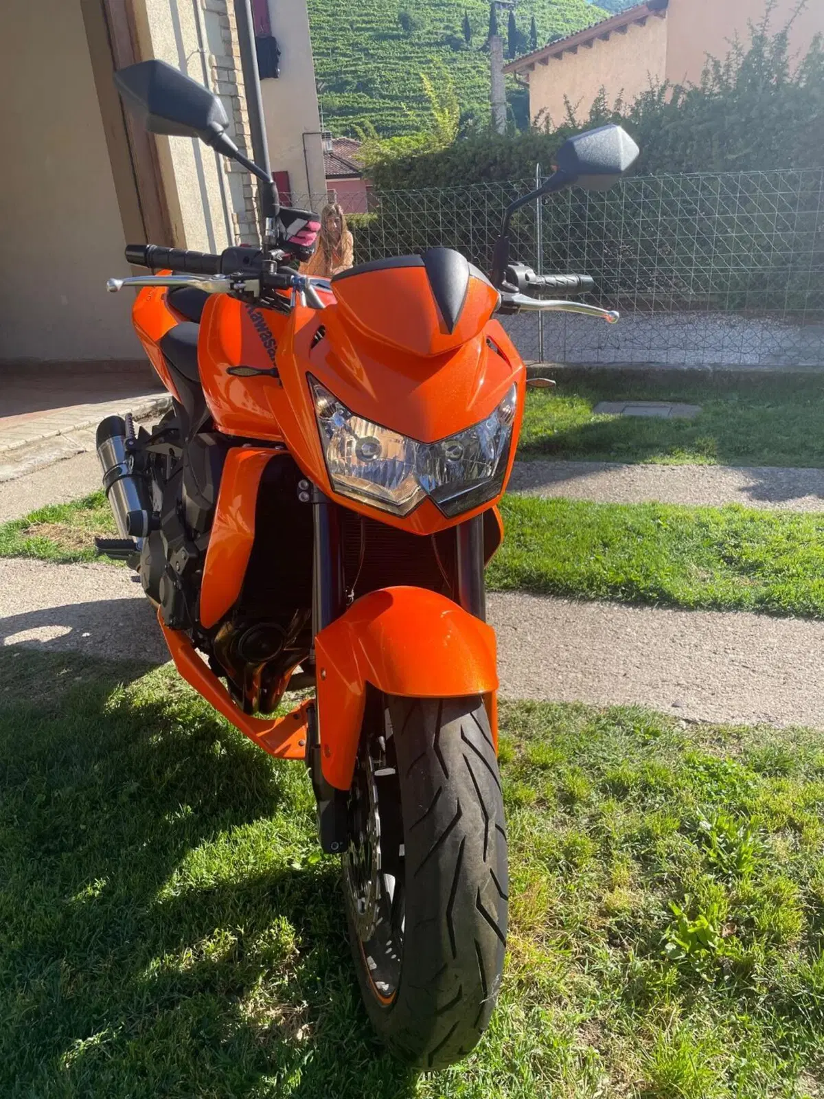 Kawasaki Z 750 (2007 - 14) (2)