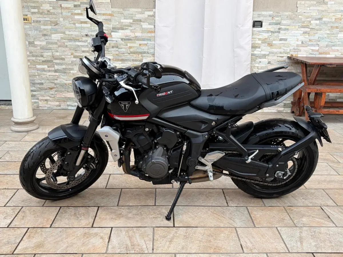 Triumph Trident 660 (2021 - 24) (2)