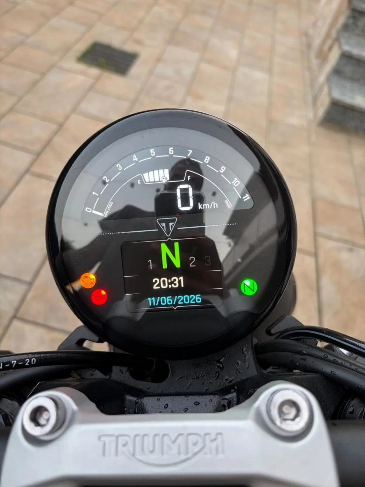 Triumph Trident 660 (2021 - 24) (4)