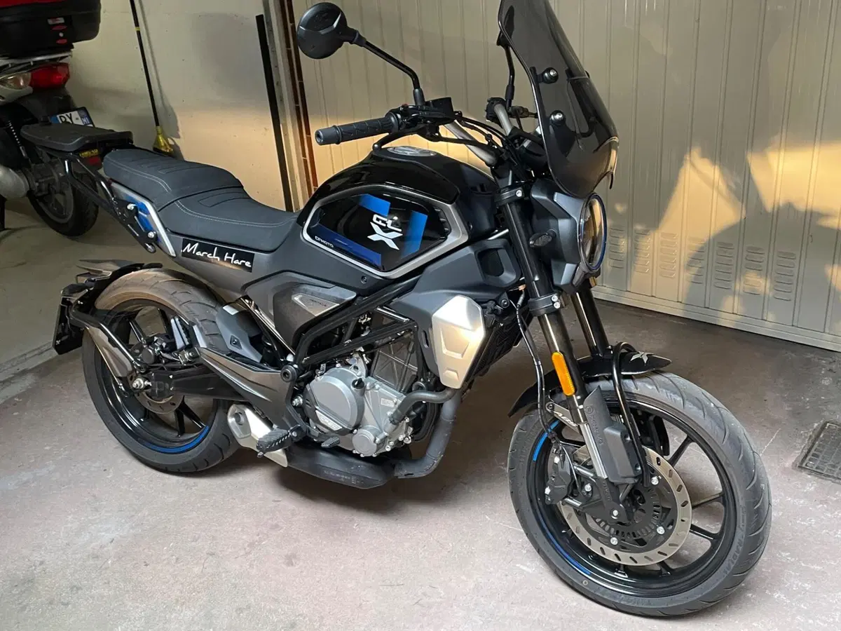 CFMOTO 300CL-X Heritage (2023 - 26) (2)
