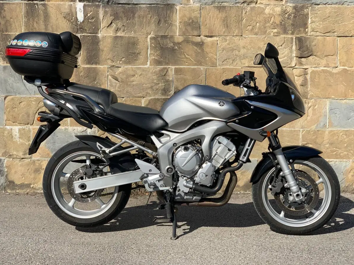 Yamaha FZ6 Fazer (2004 - 07)