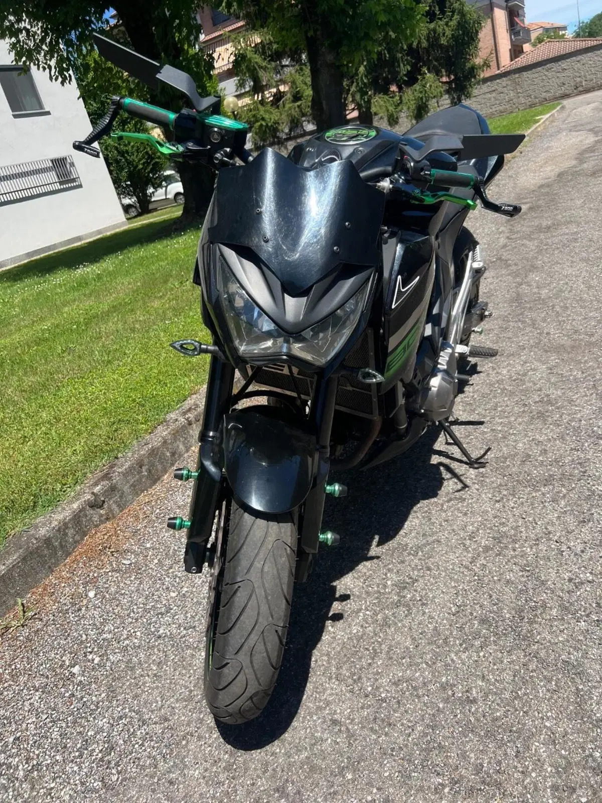 Kawasaki Z 800 e ABS (2012 - 16) (16)