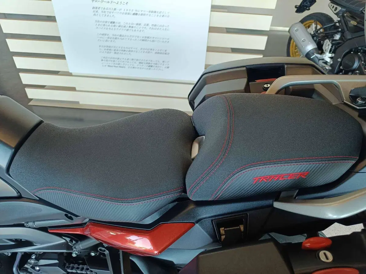 Yamaha Tracer 900 (2018 - 20) (6)