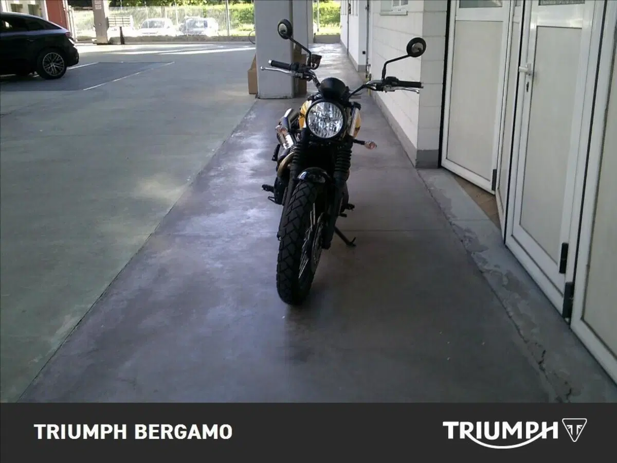 Triumph Street Scrambler 900 (2021 - 22) (5)
