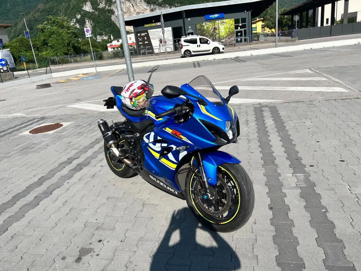 Suzuki GSX-R1000 (2017 - 18) (2)