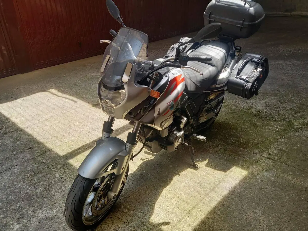 Aprilia Pegaso 650 Strada (2005 - 11) (2)
