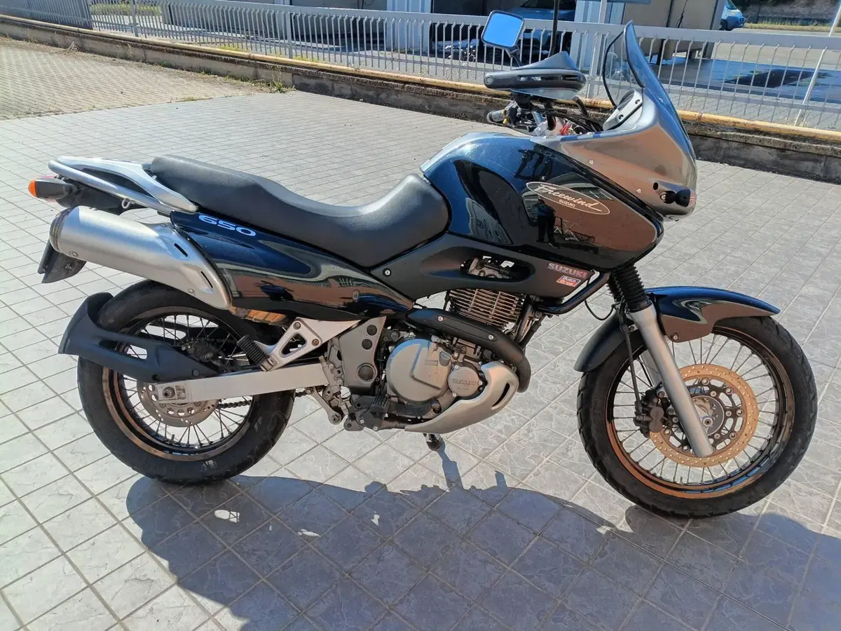 Suzuki XF 650 Freewind (1997 - 03) (5)
