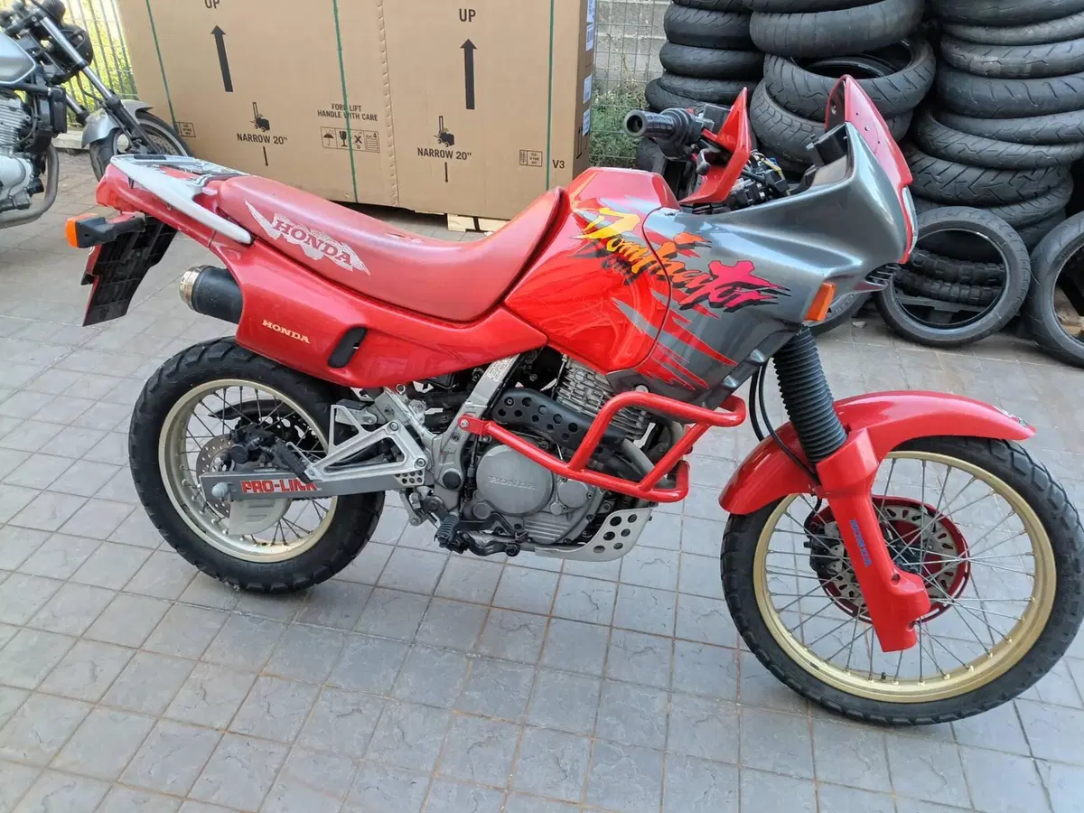 Honda NX 650 Dominator (1991 - 95) (5)