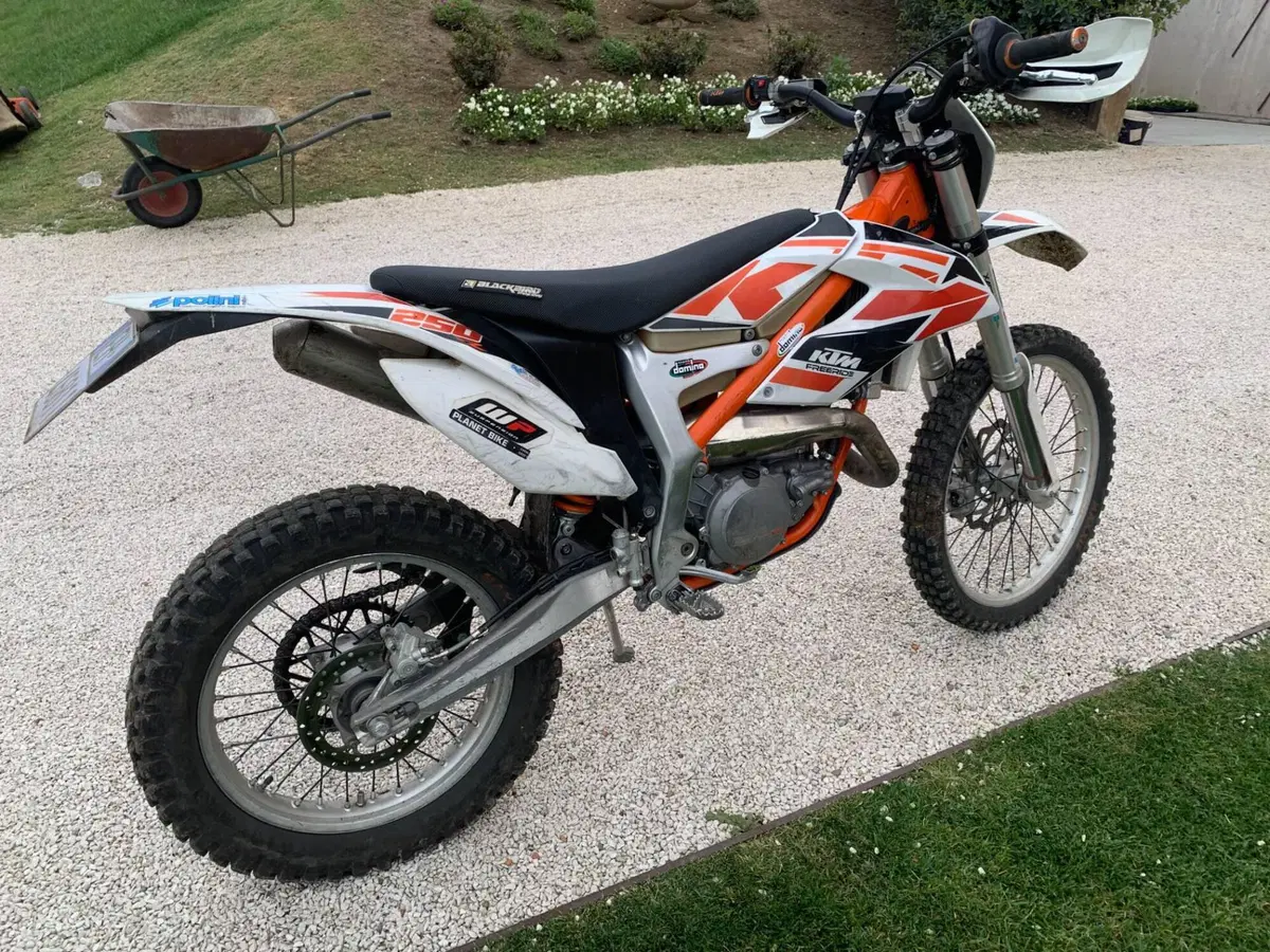 KTM Freeride 250 R (2013 - 17) (4)