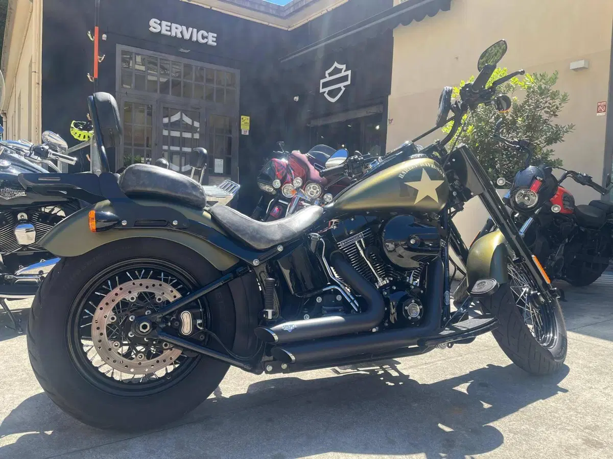 Harley-Davidson 1800 Slim S (2015 - 17) - FLS