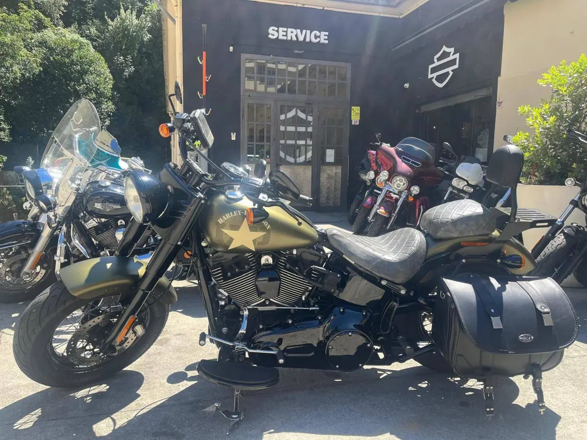 Harley-Davidson 1800 Slim S (2015 - 17) - FLS (2)