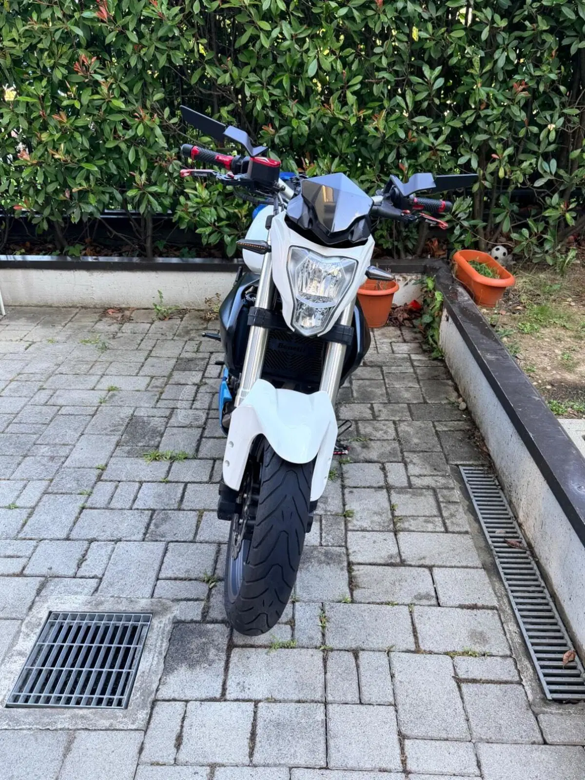 Benelli BN 302 (2017 - 19) (2)