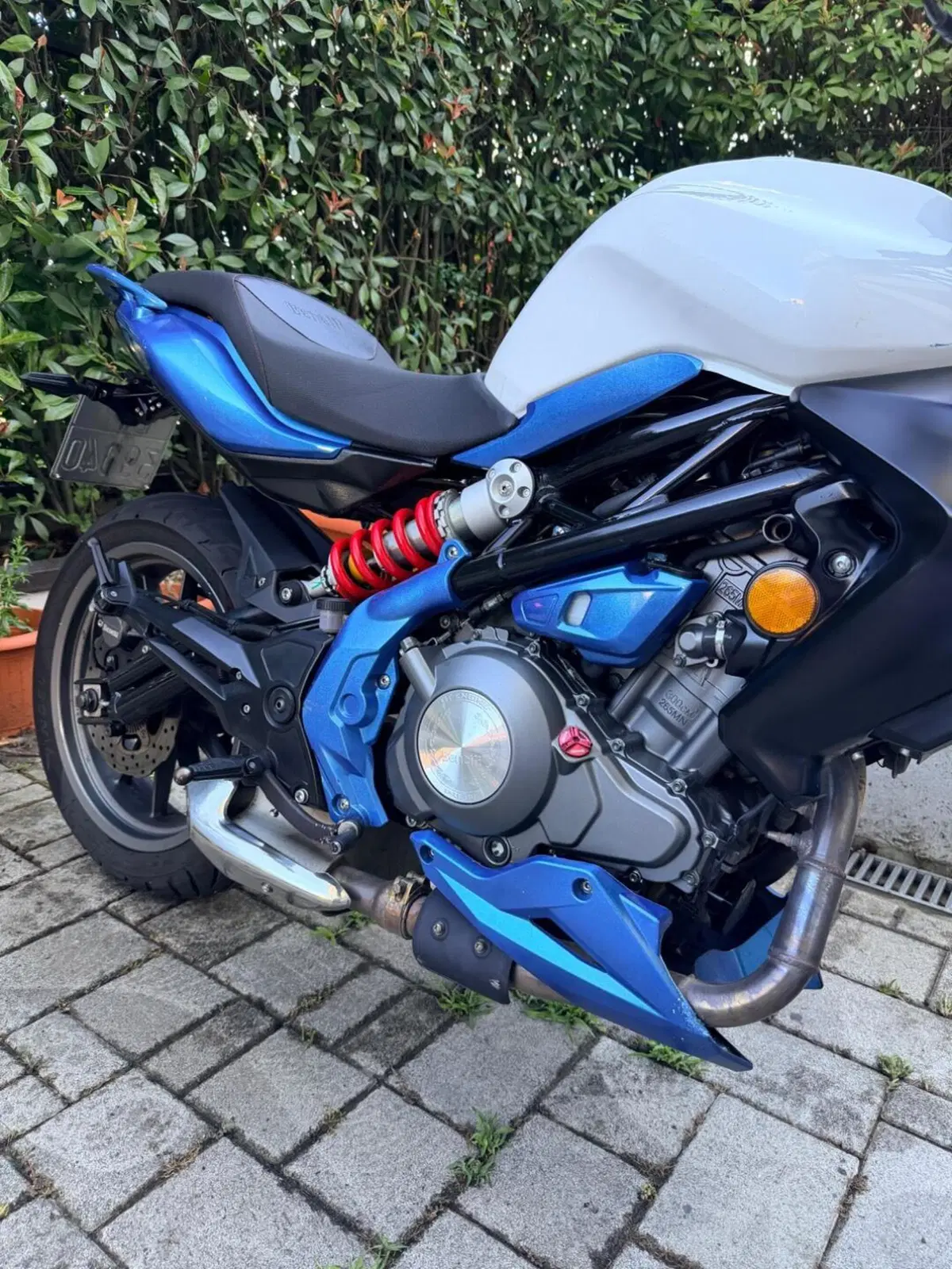 Benelli BN 302 (2017 - 19) (3)