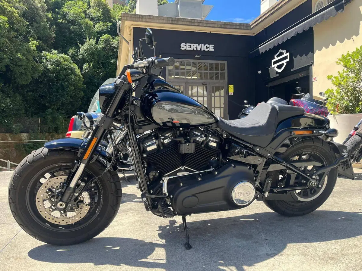 Harley-Davidson Fat Bob 114 (2021 - 25) (2)