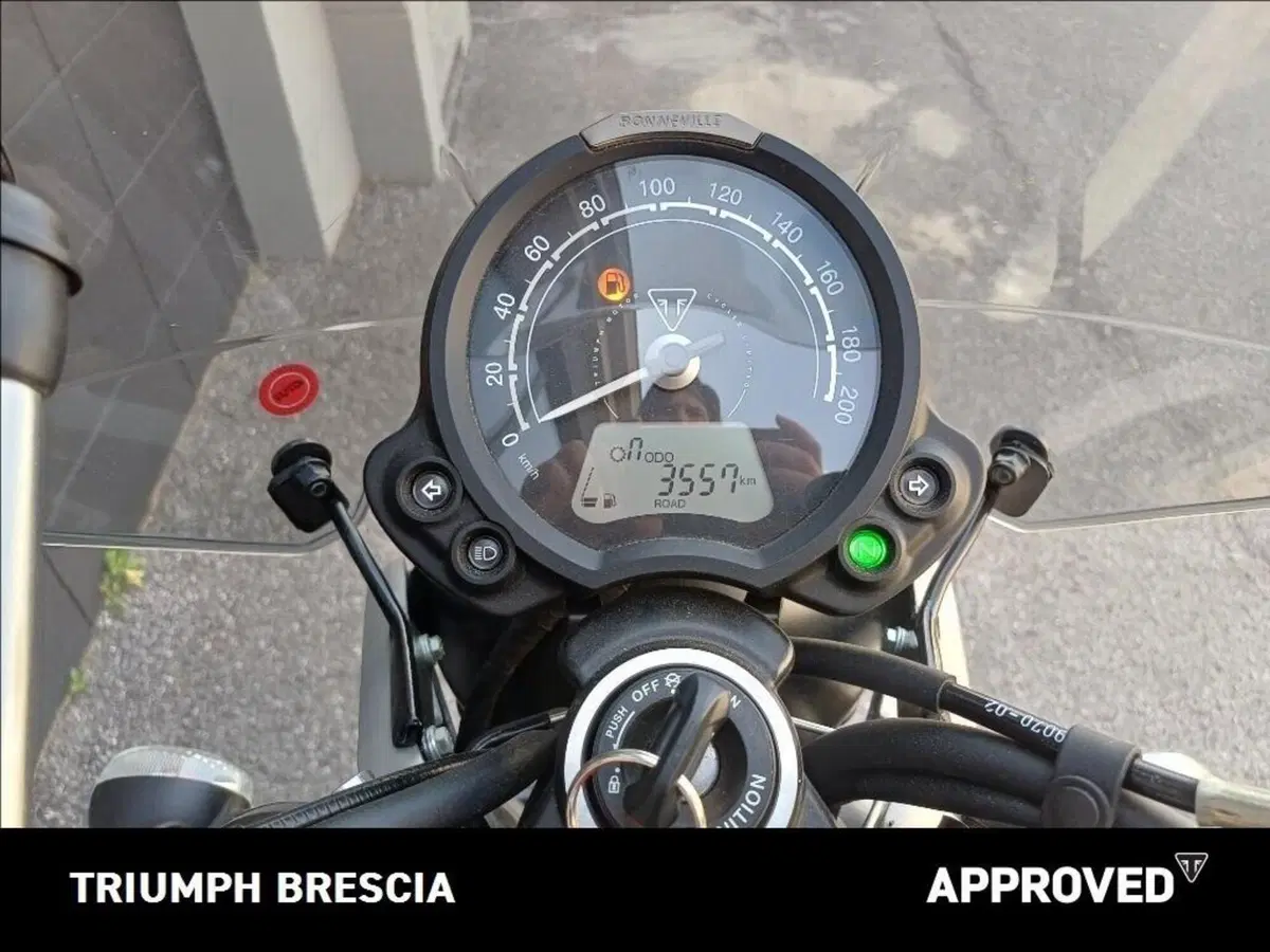 Triumph Speed Twin 900 (2023 - 24) (10)