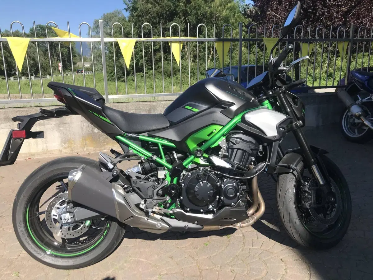 Kawasaki Z 900 (2025 - 26)