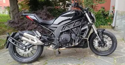 Benelli 502 C (2021 - 25) nuova