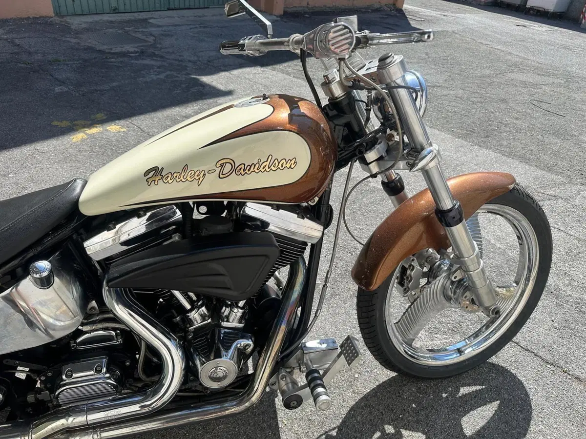 Harley-Davidson 1340 Custom (1989 - 98) (2)