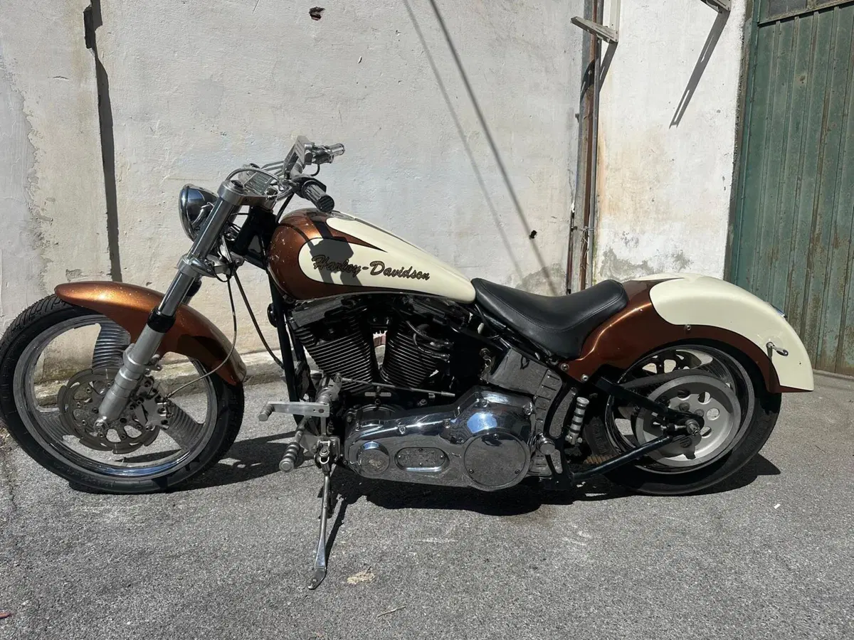 Harley-Davidson 1340 Custom (1989 - 98) (4)