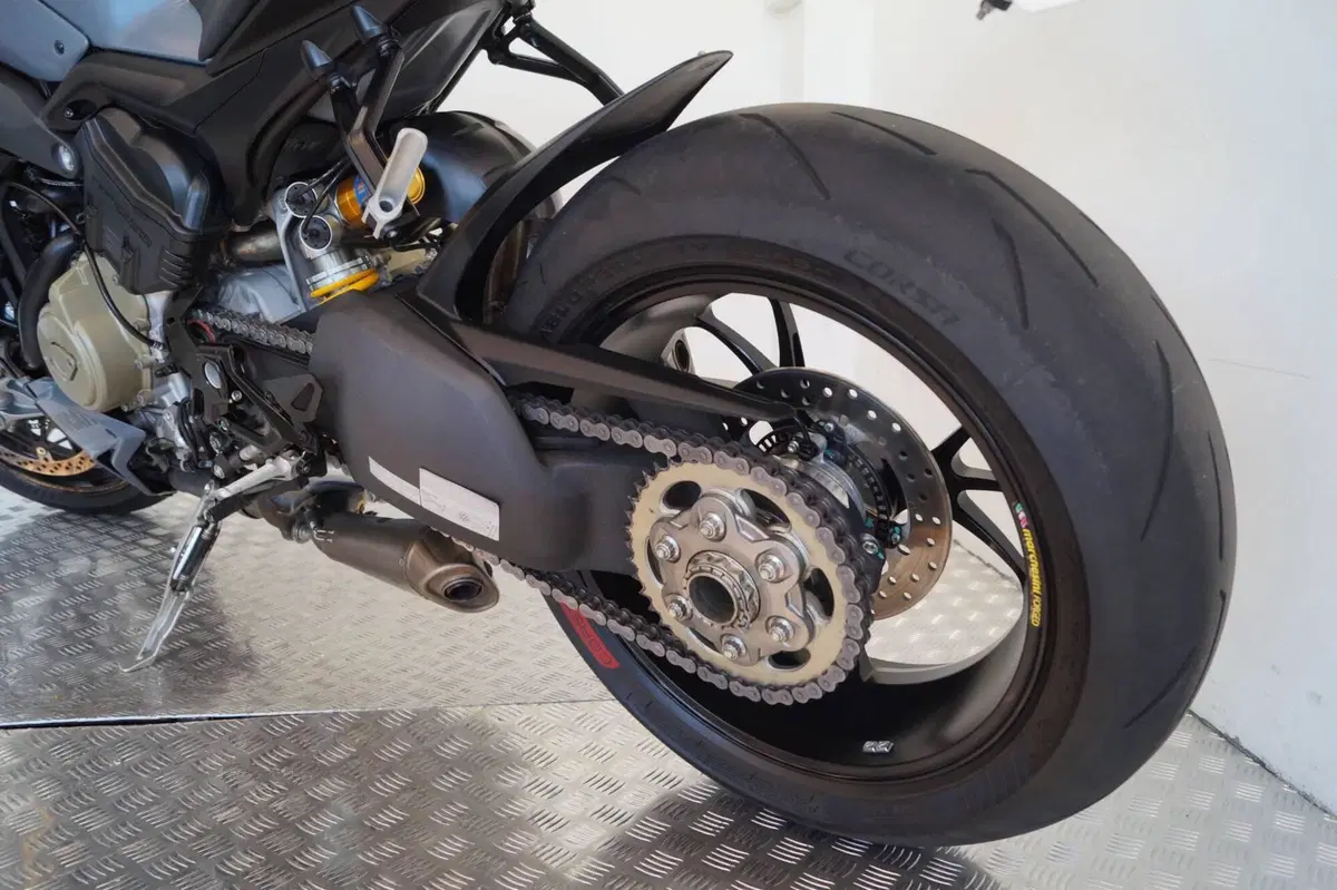 Ducati Streetfighter V4 S (2023 - 24) (6)
