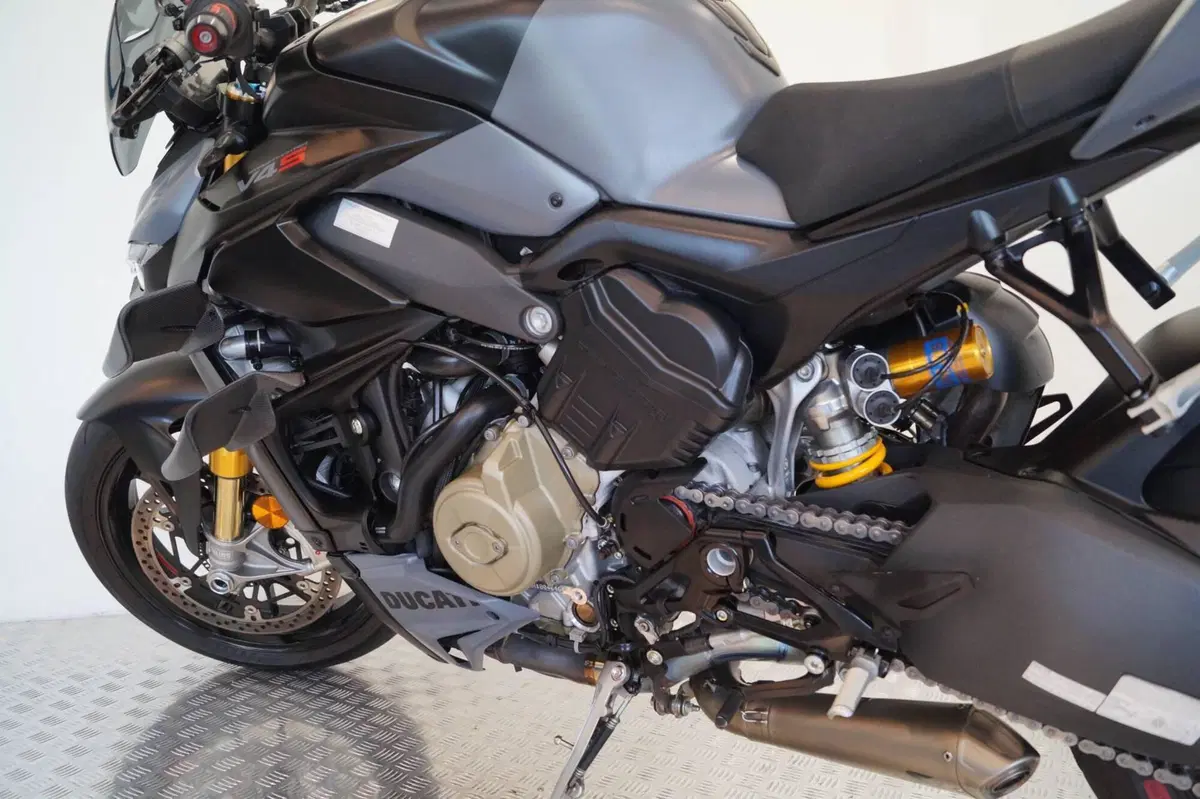 Ducati Streetfighter V4 S (2023 - 24) (7)