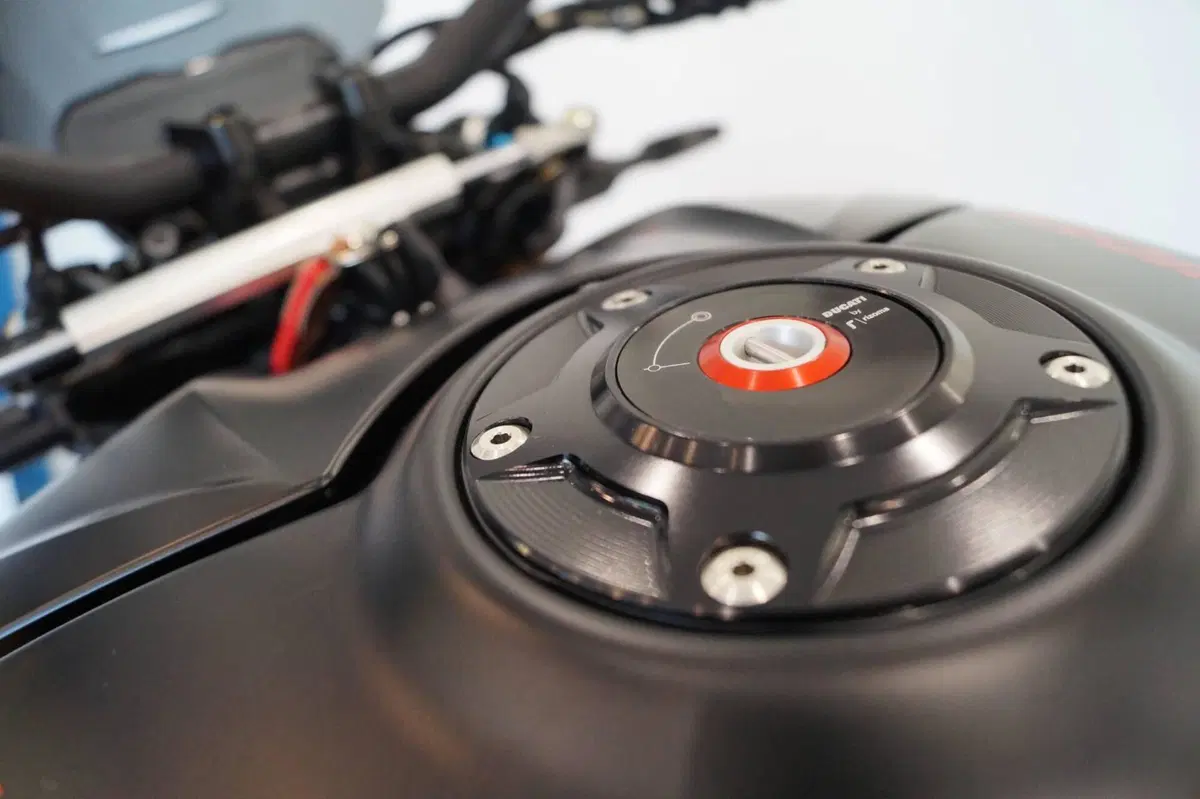 Ducati Streetfighter V4 S (2023 - 24) (8)